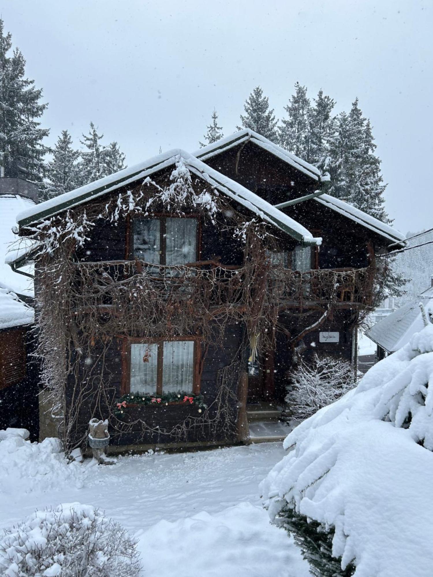 Stara Pravda Villas バコヴェル エクステリア 写真